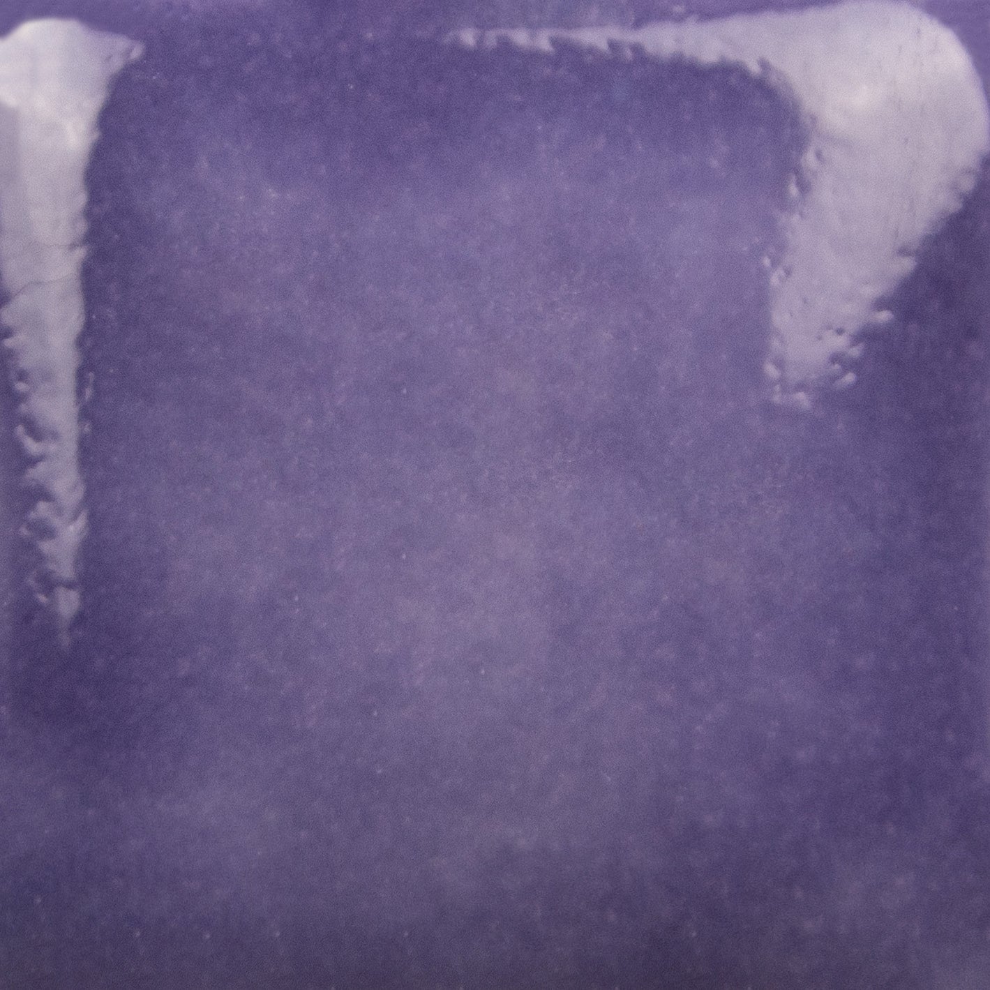 Fruit of the Vine SC033