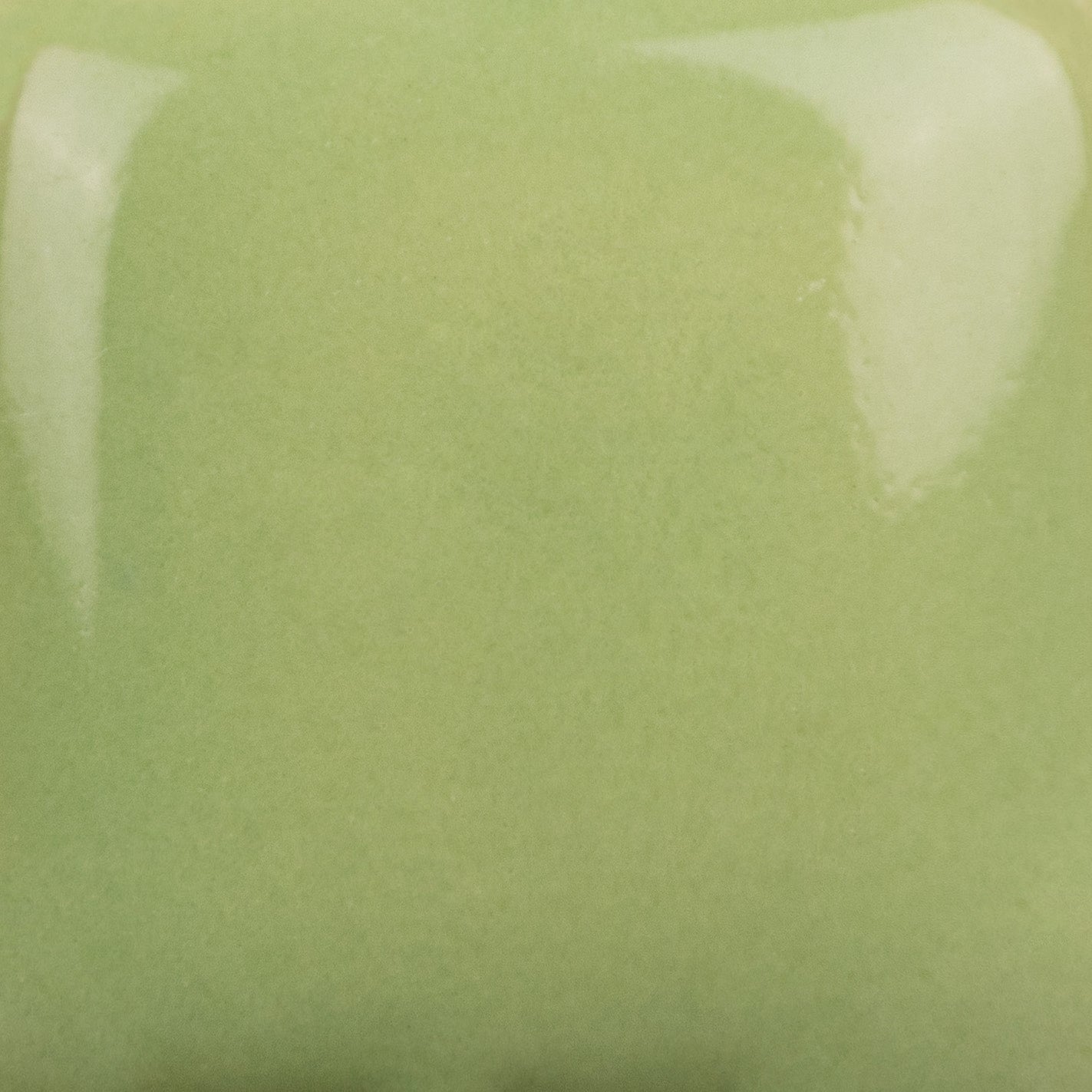 Lettuce Alone SC043