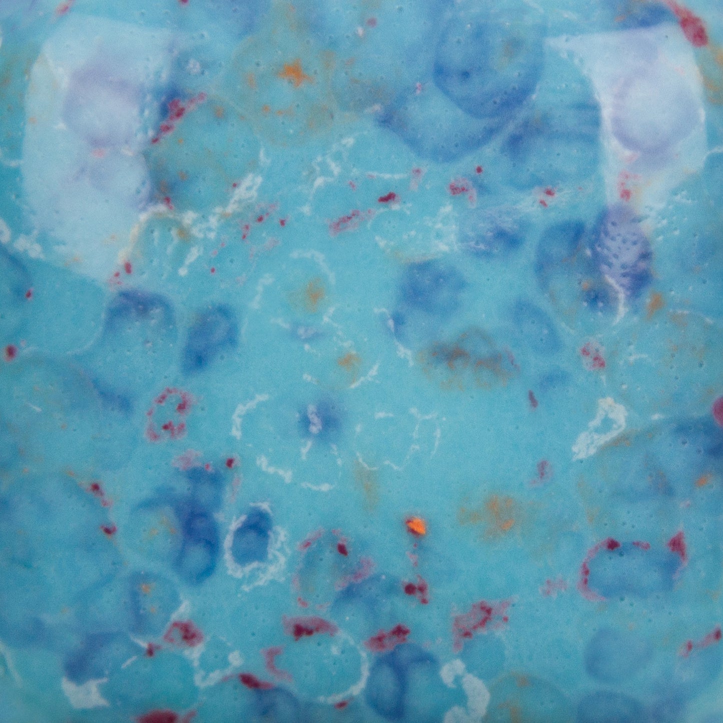Speckled Tic-Tac-Turquoise SP2105