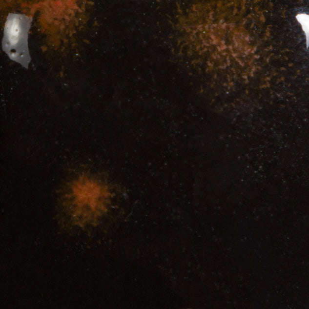 Black Opal CG779