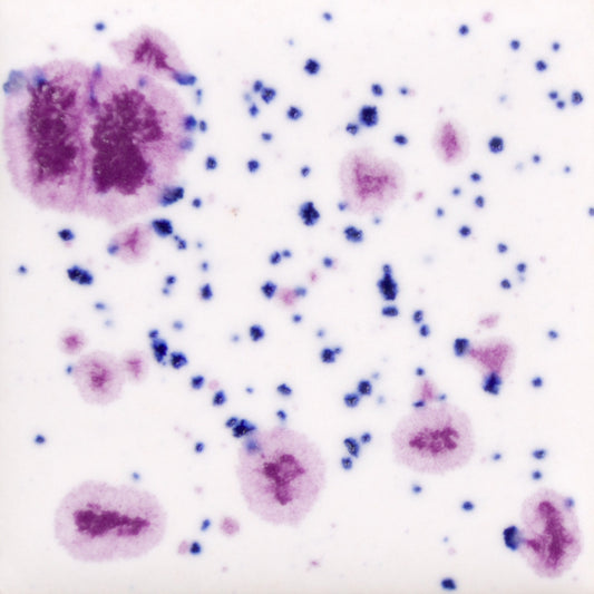 CG-1011 Frosted Berries