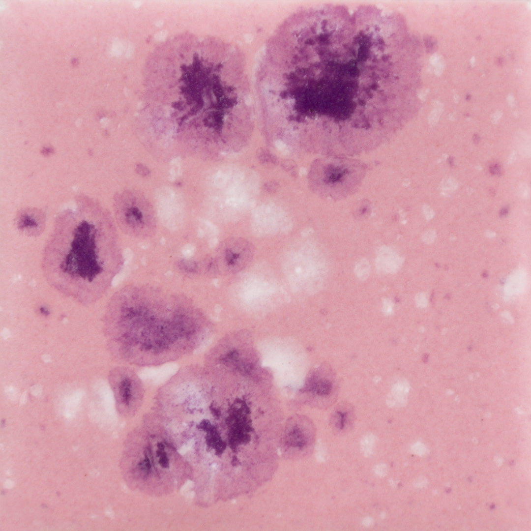 CG-1014 Pink Plum