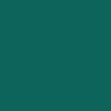 6219 French Green Mason Stain