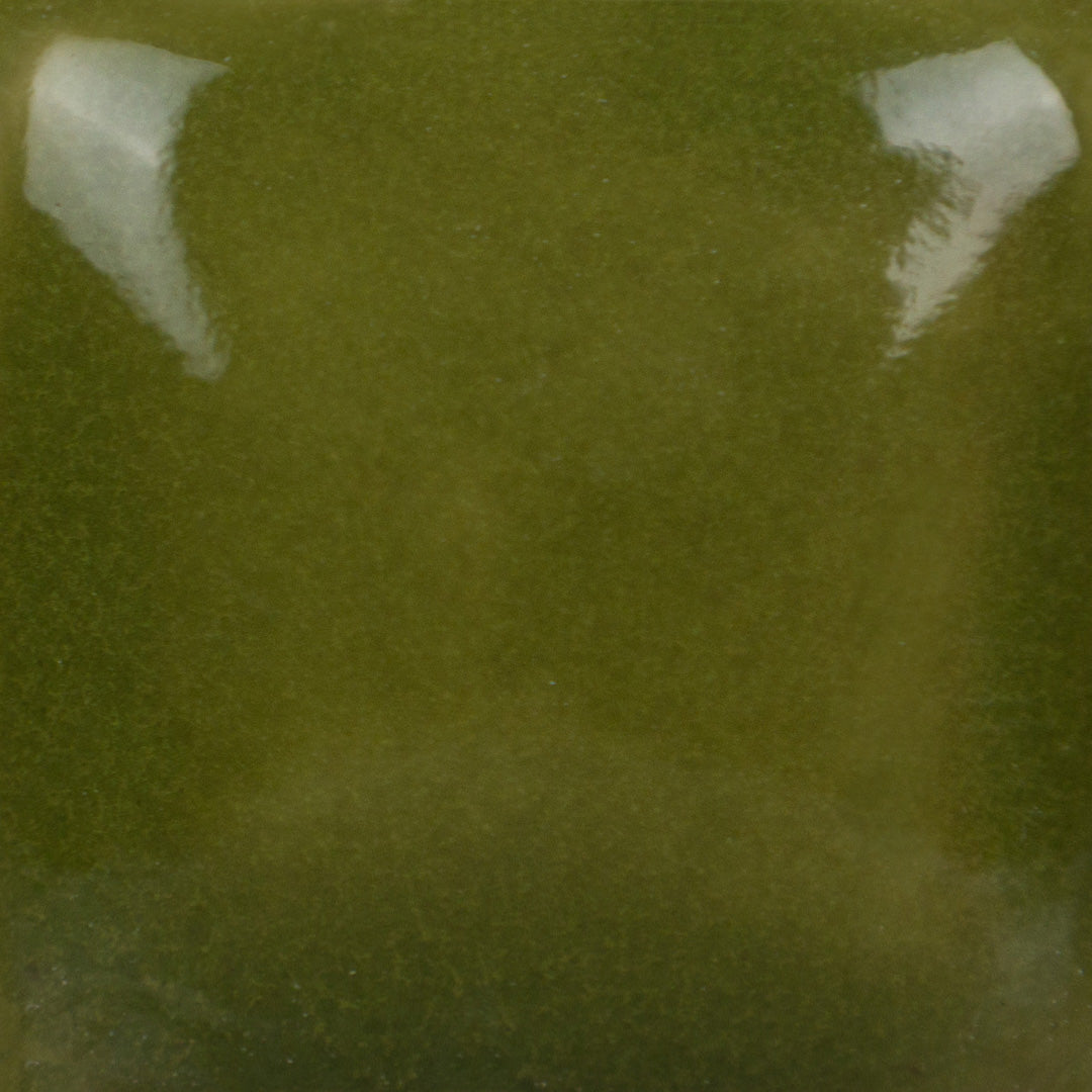 Olive Green Foundations Glaze FN021