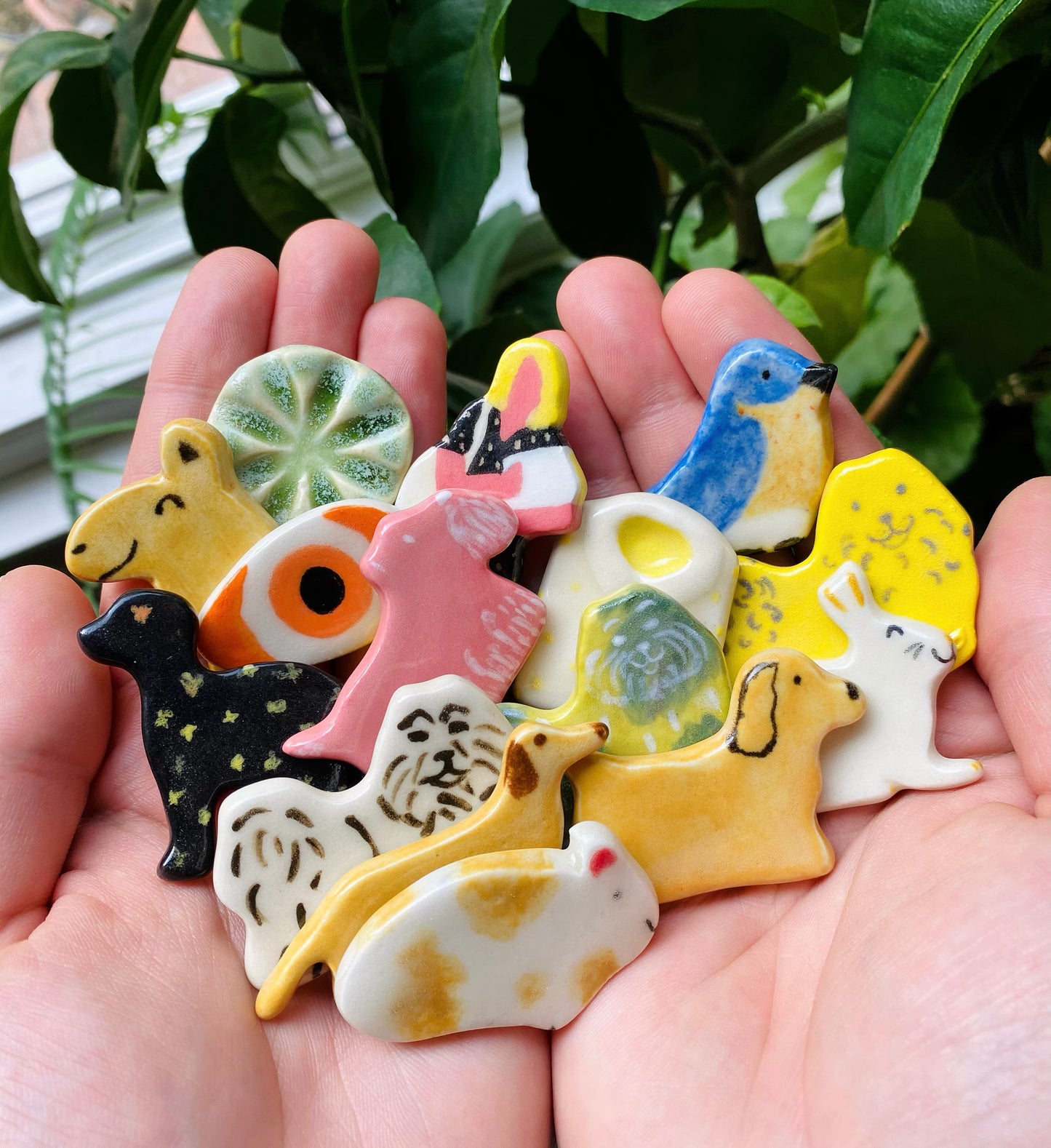 Fridge Magnets