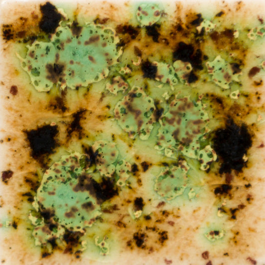 S-2709 Cappucino Mint