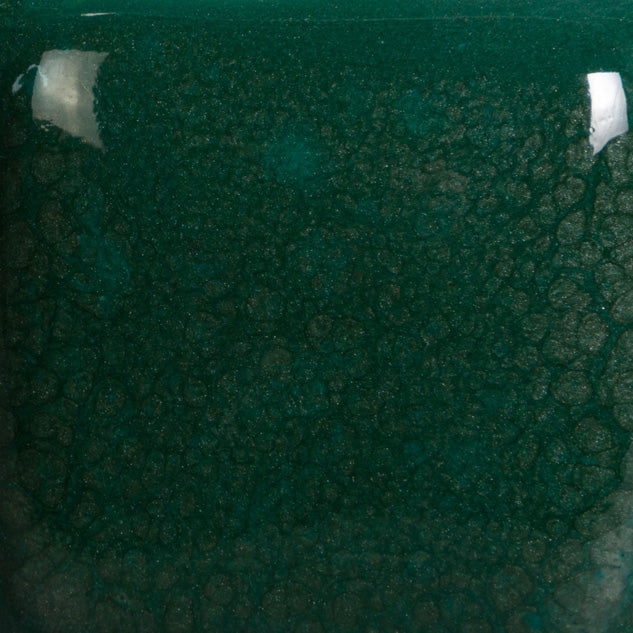 Speckled Teal Next Time SP210