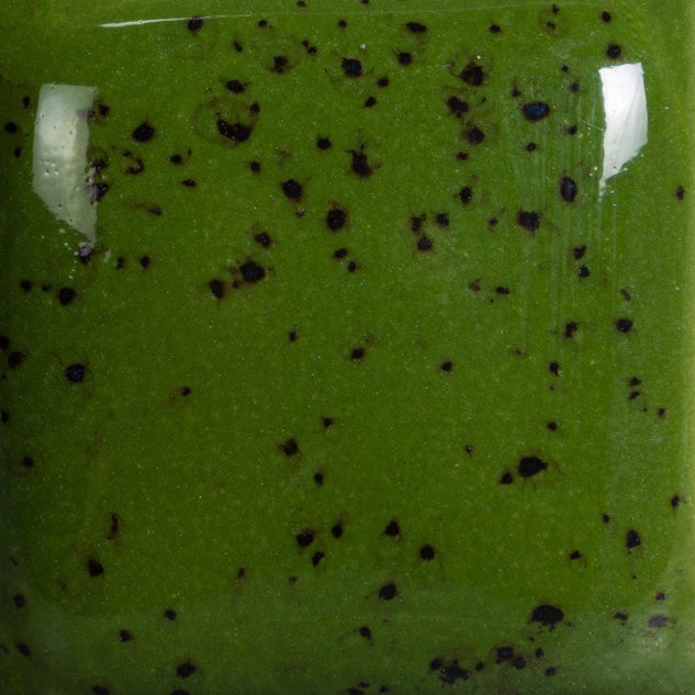 Speckled Green Thumb SP226