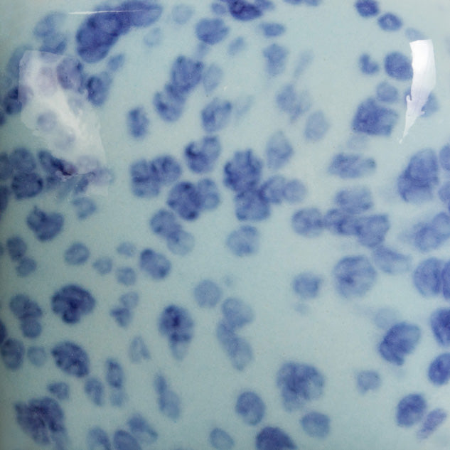 Speckled My Blue Heaven SP245