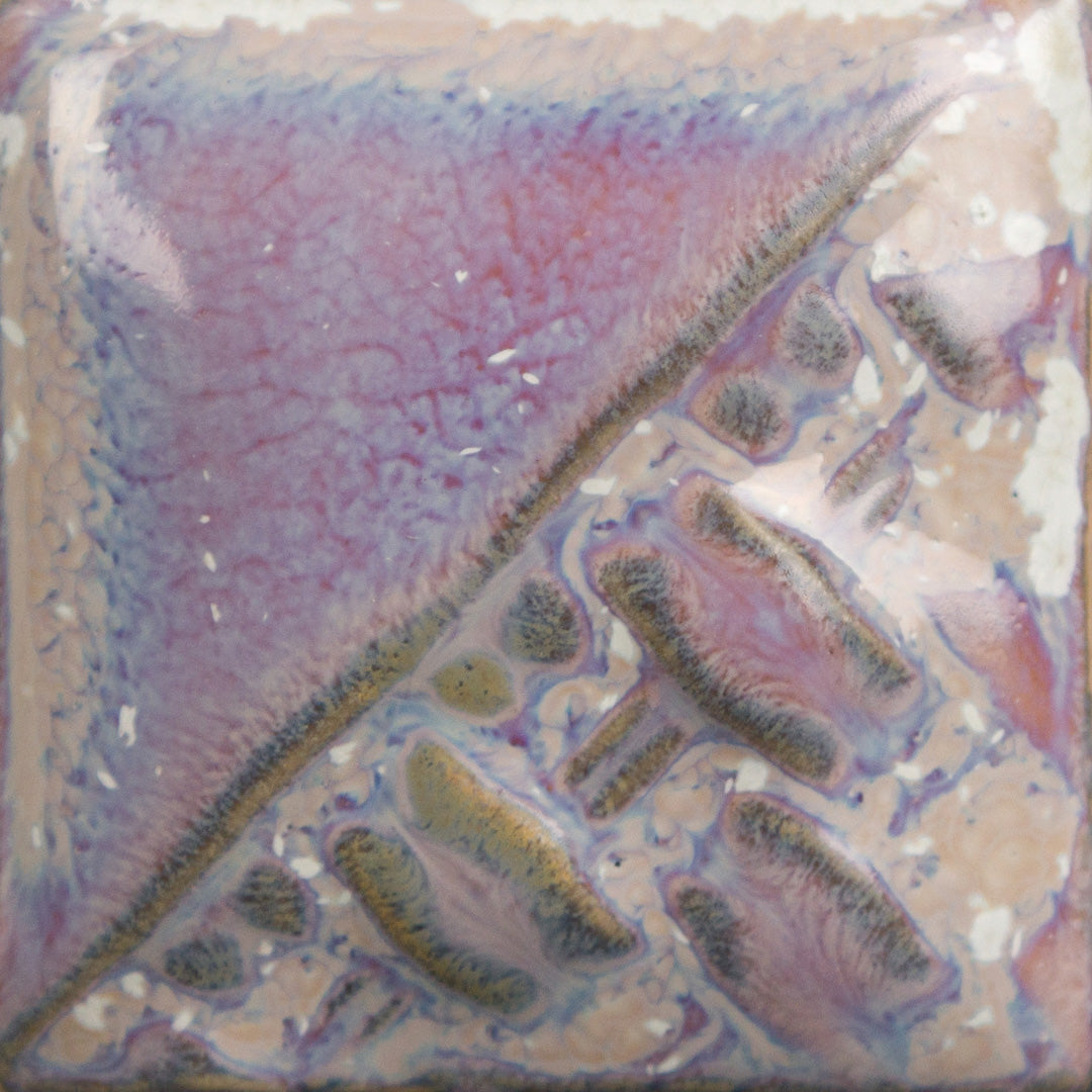 Sand Dollar SW196