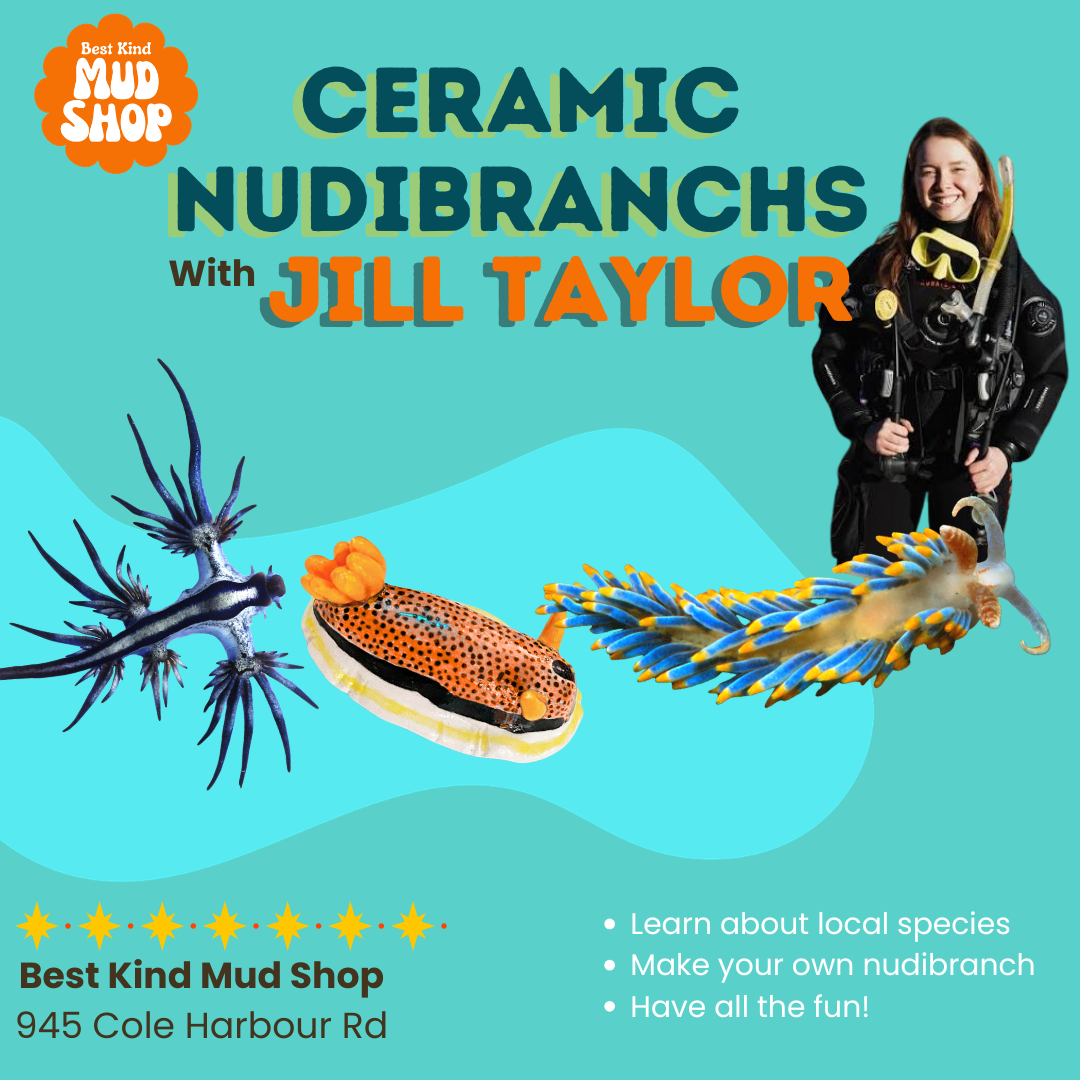 Nudibranchs Workshop with Jill Taylor