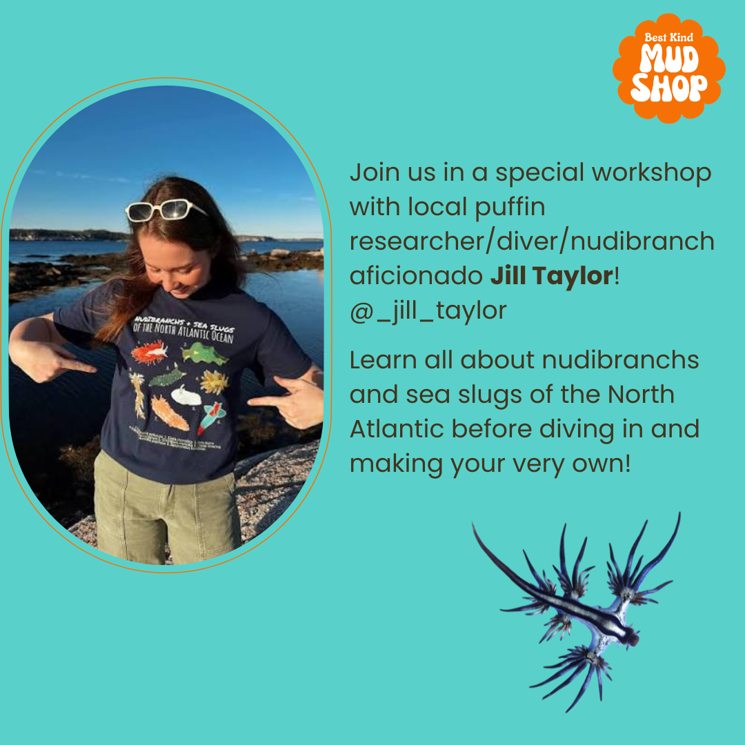 Nudibranchs Workshop with Jill Taylor