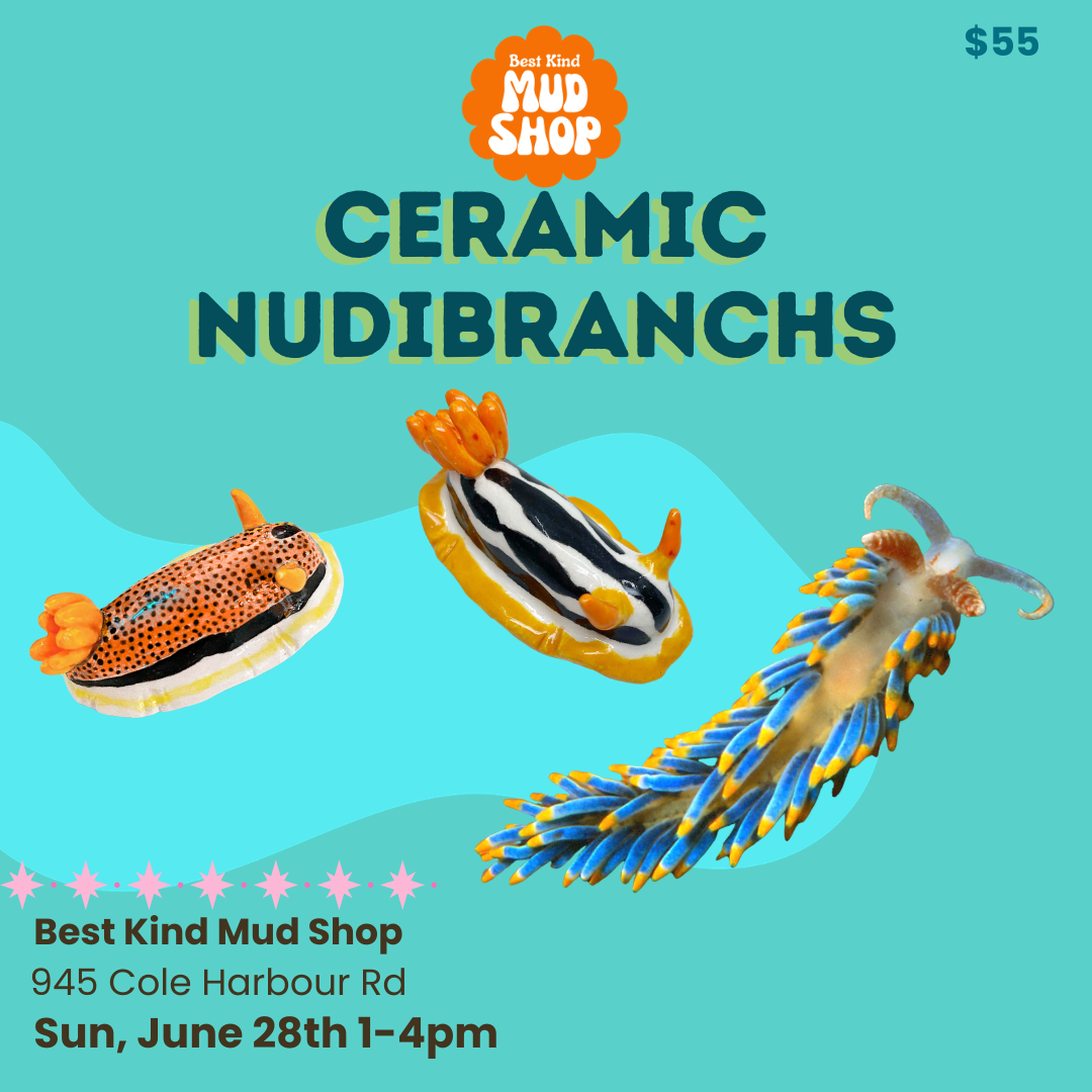Nudibranchs Workshop