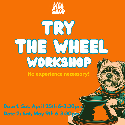 Try the wheel workshop
