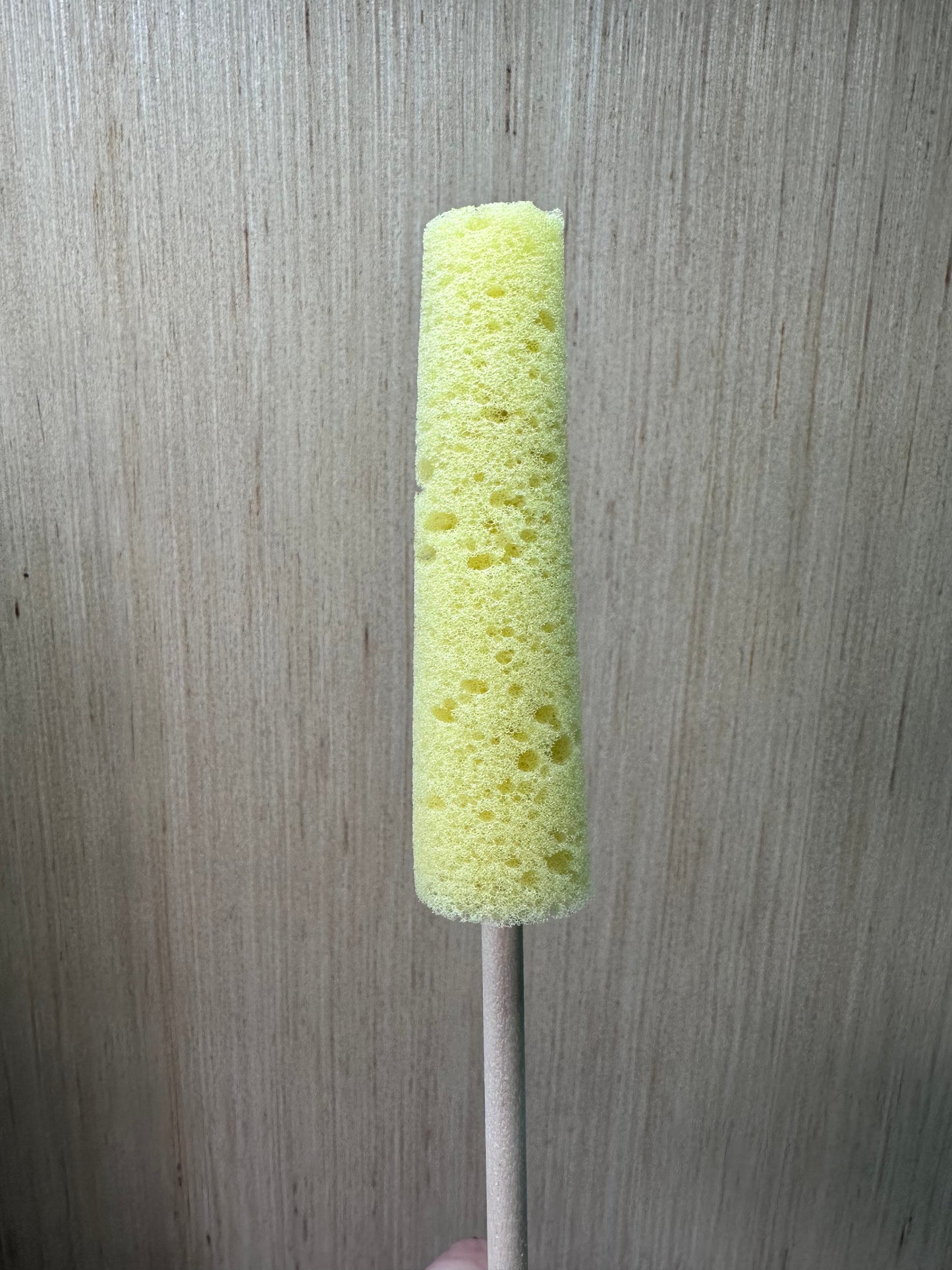 Sponge on a stick (small)