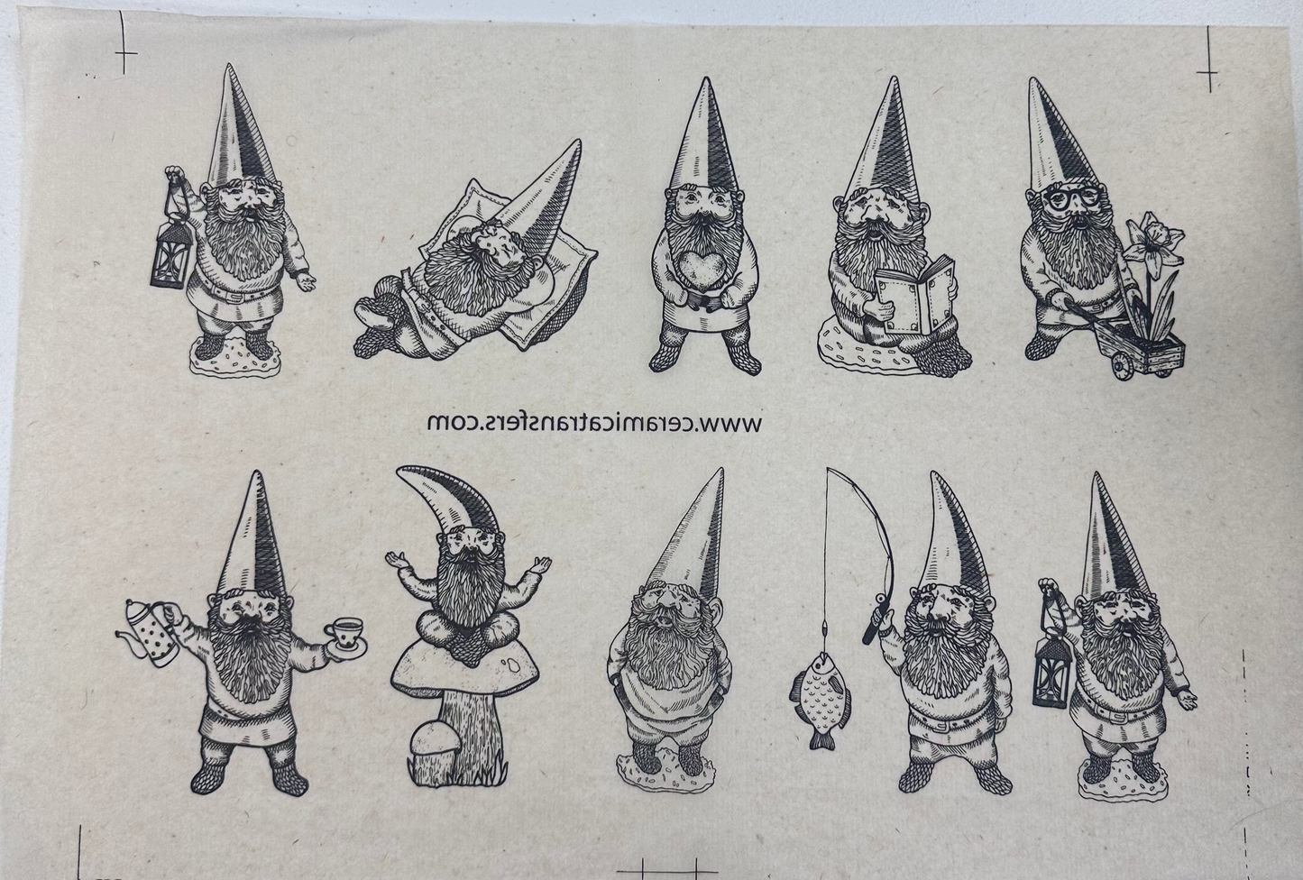 Gnomes