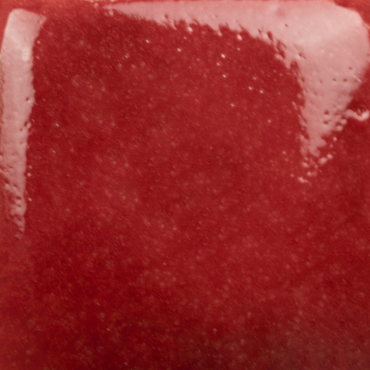 Ruby Slippers SC087
