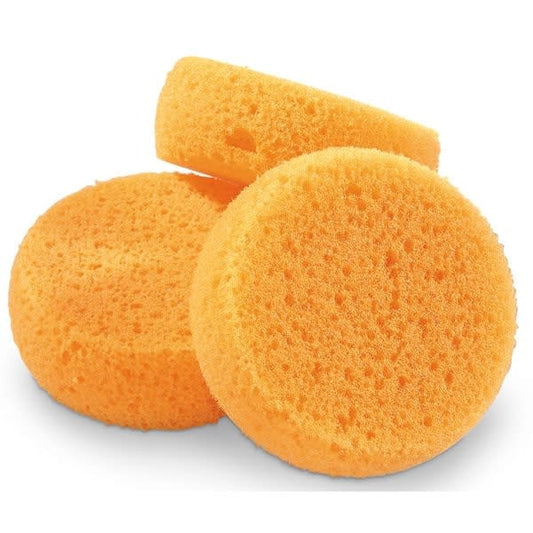 Hydra Sponge