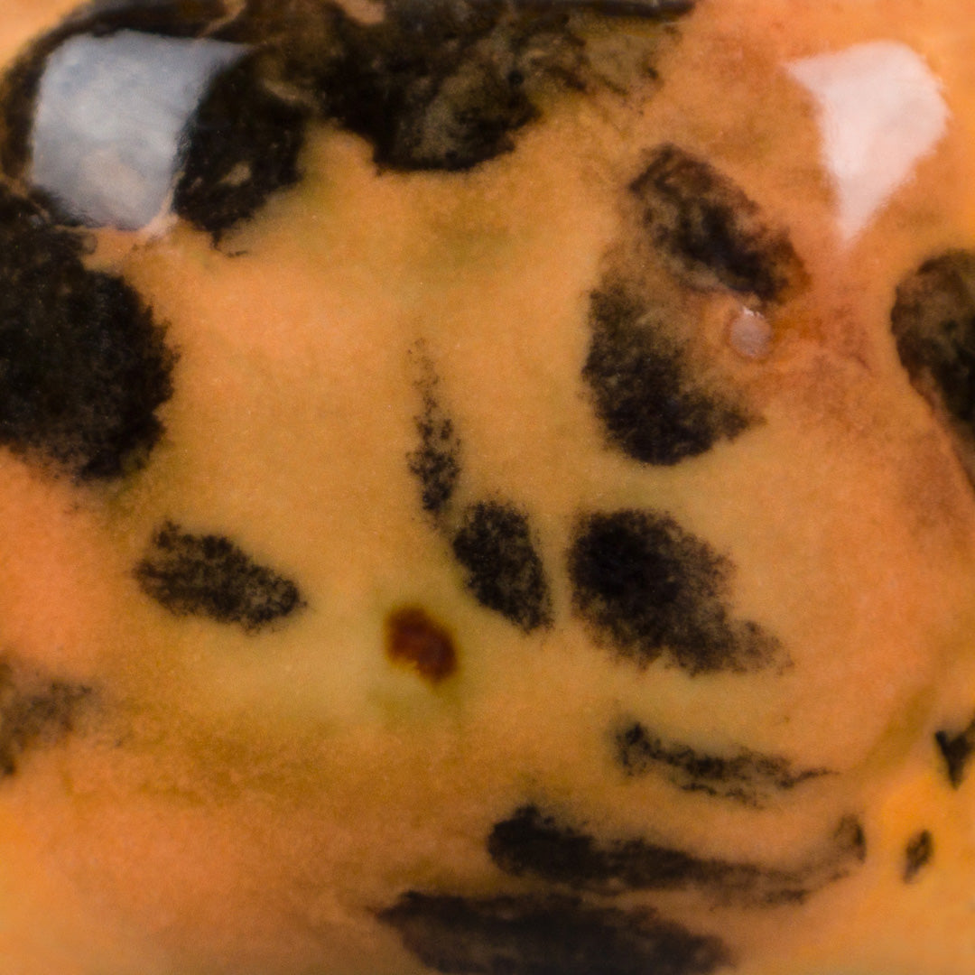 CG-1013 Papaya