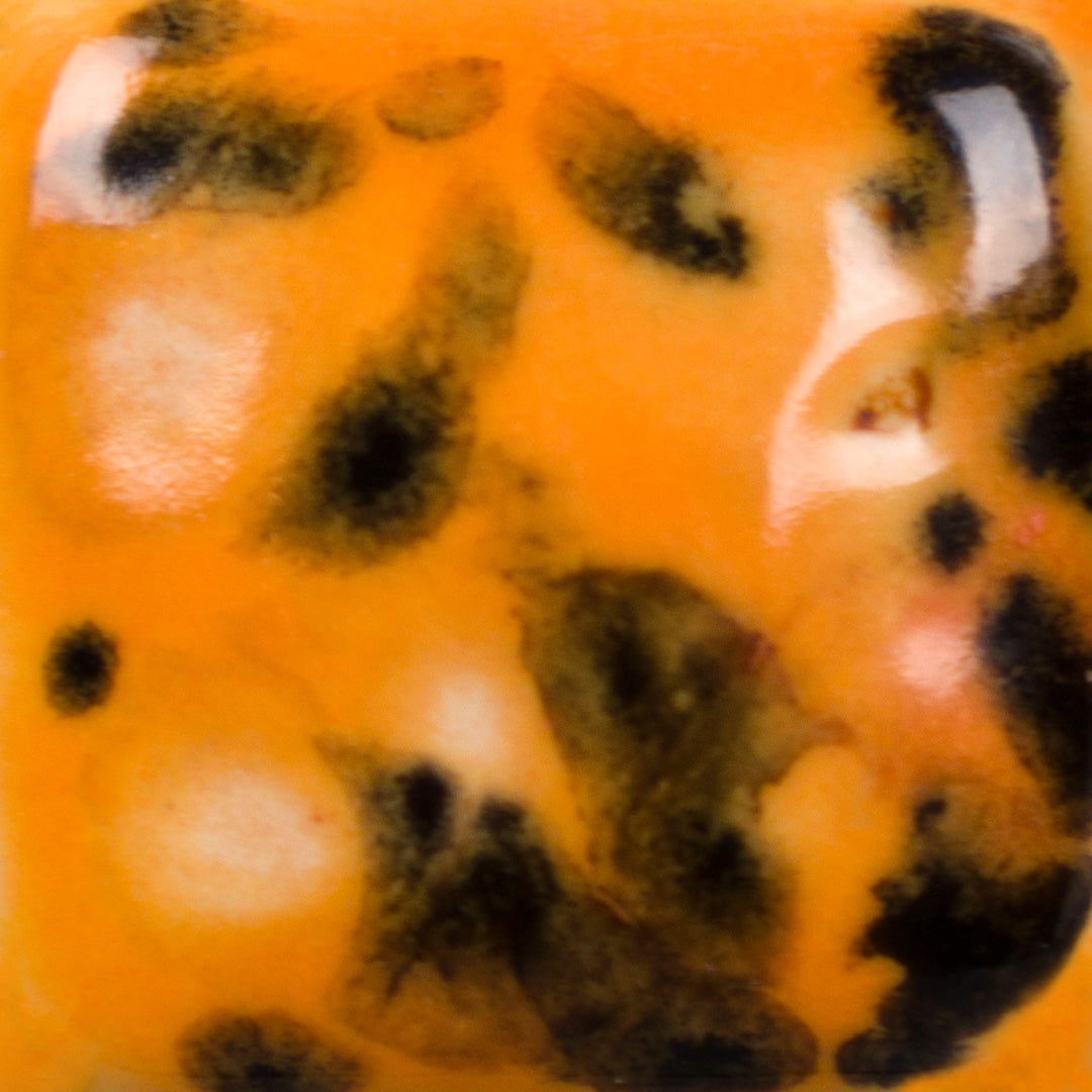 CG-1013 Papaya