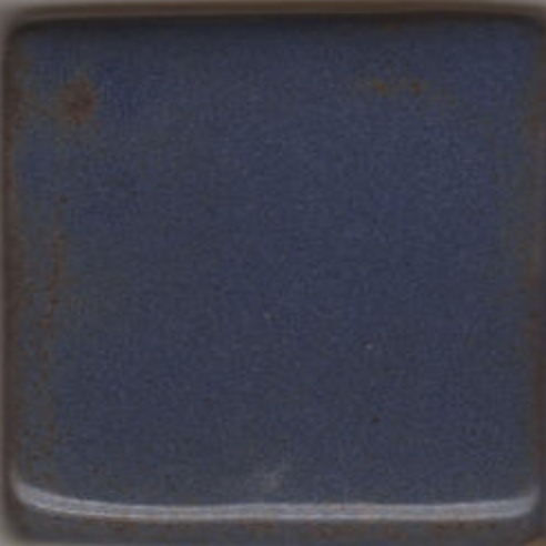 Blue Shino by Coyote 043