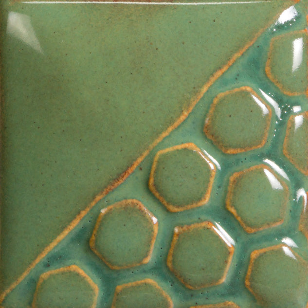 EL131 Turtle Shell