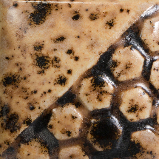 EL212 Spotted Walnut