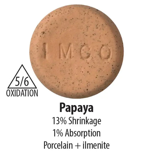 Papaya Cone 5/6 Porcelain Clay 20lb Bag
