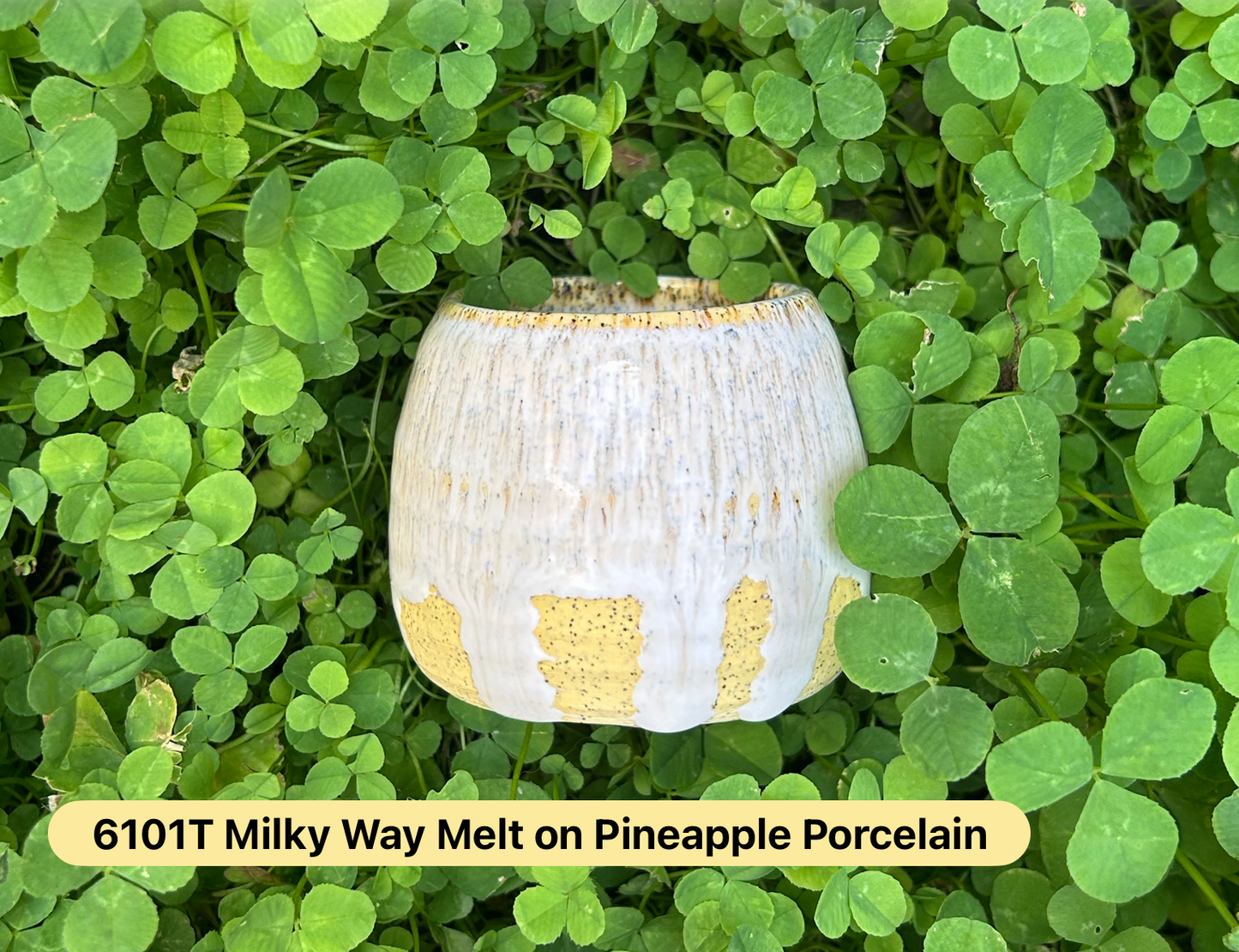 Pineapple Cone 5/6 Porcelain Clay 20lb Bag