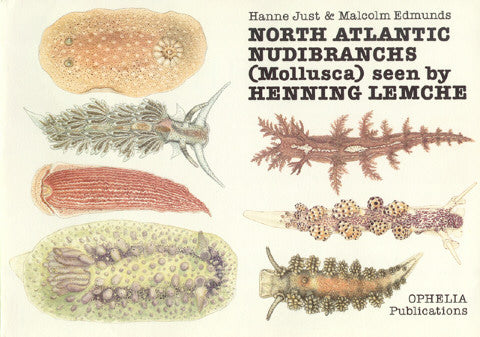 Nudibranchs Workshop with Jill Taylor