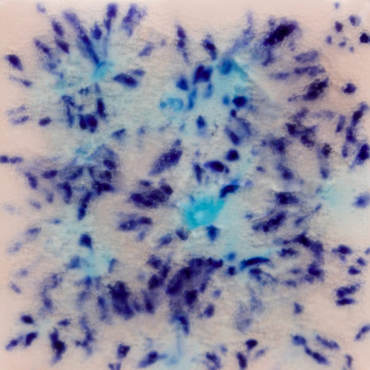 S-2702 Northern Lights