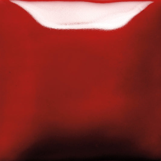 Ruby Slippers SC087