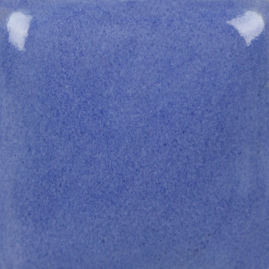 Blueberry Hill SC-040