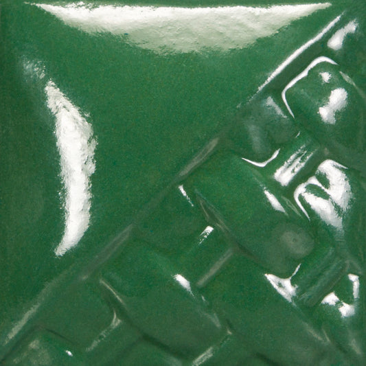 Dark Green Gloss SW509