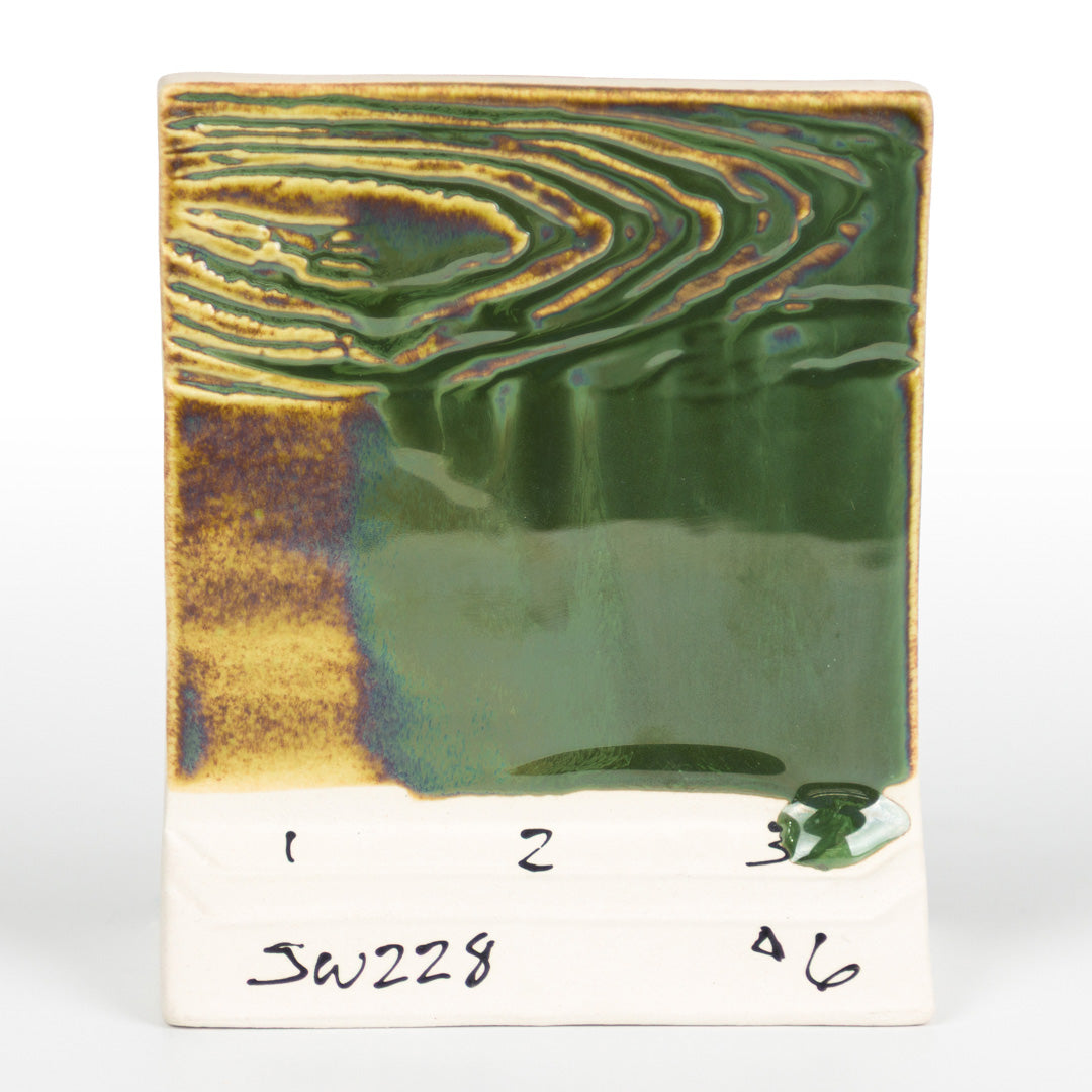 Beetle Wing SW-228